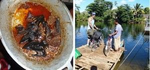 Madagascar. Estofado de murciélago y cruzando el río