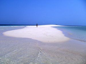 Tanzania y Kenia. Zanzíbar