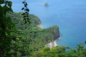 Isla de Martinica. Su exuberante vegetación