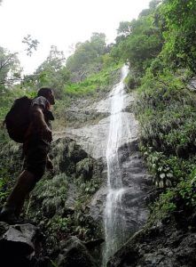Isla de Martinica. Cascada Coulèvre