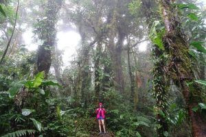 Panamá y Costa Rica. Monteverde