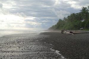 Panamá y Costa Rica. Playa de Dominical