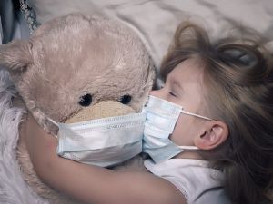 La empatía. Osito peluche