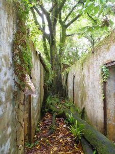 Guayana francesa. Ruinas penitenciarias