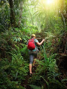 Sobrevivir en la selva. Sigue los caminos.