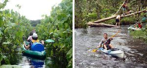 Guayana francesa lugares. Kayakeando