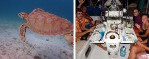 Tortugas y cena a bordo