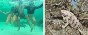 Nadando en Tobago Cays