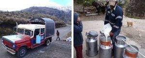 Acompañando al lechero en Manizales
