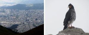 imágenes desde el Rucu Pichincha