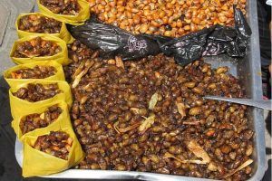 Típicos snacks de Ecuador