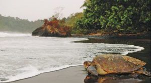Las preciosas playas de Ureka, en Bioko
