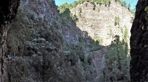 Ascendiendo a los nacientes de Marcos y Cordero