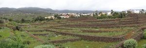 Las pirámides de Güímar