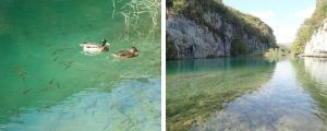 Lago Milanovac