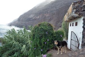Casa del agua