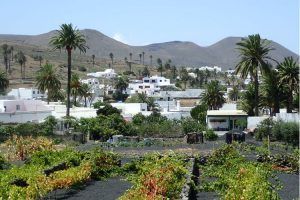 Haría, Lanzarote