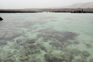 Caletón Blanco. Lanzarote