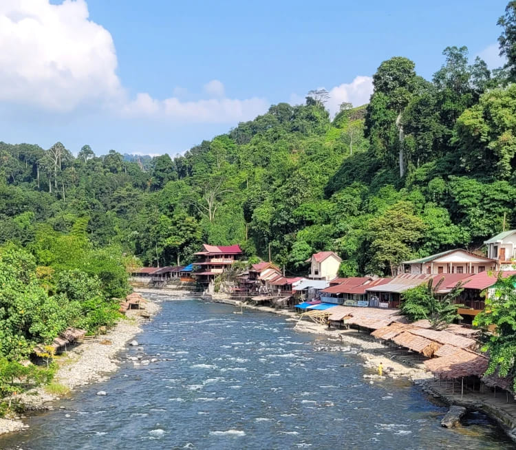 Bukit lawang, en Indonesia