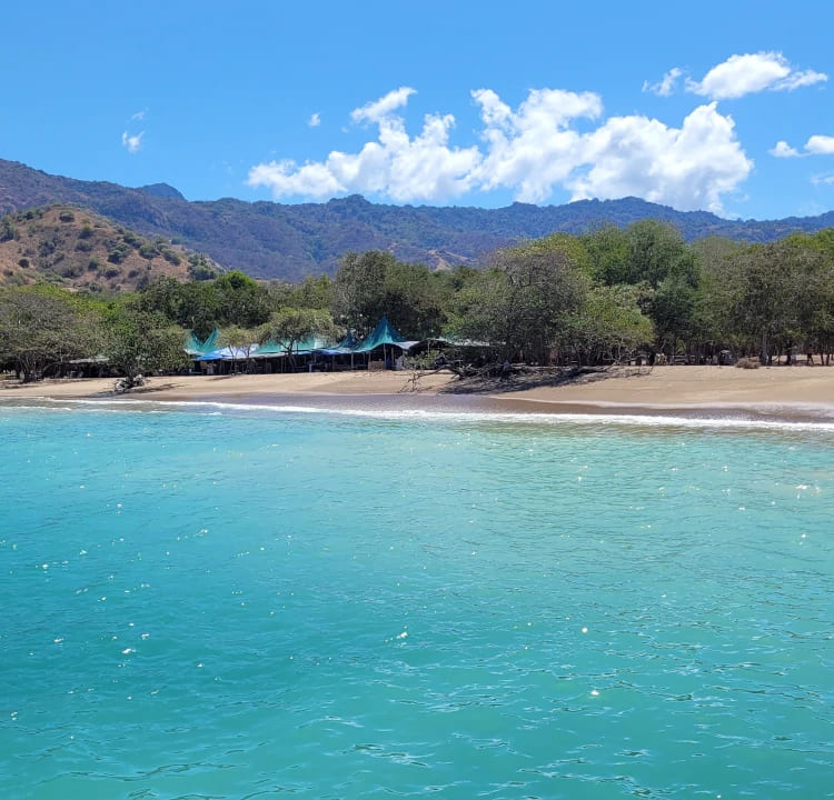 Isla de Komodo, Indonesia