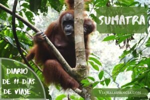 Sumatra diario de viaje portada